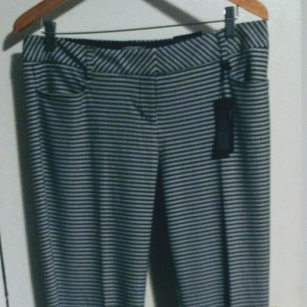 Express Mid Rise Barely Boot Columnist Pants